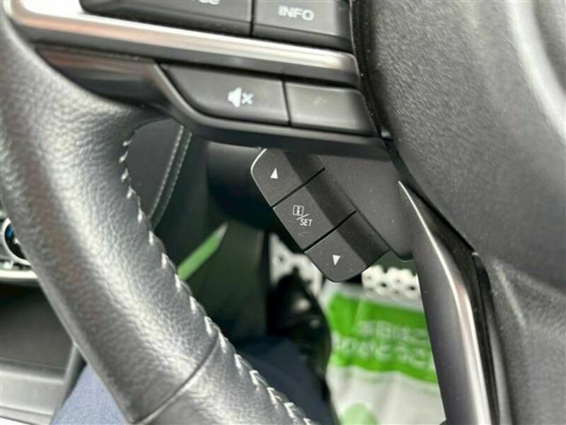 FORESTER-20