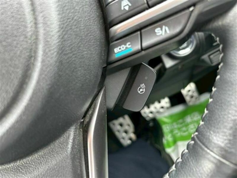FORESTER-21