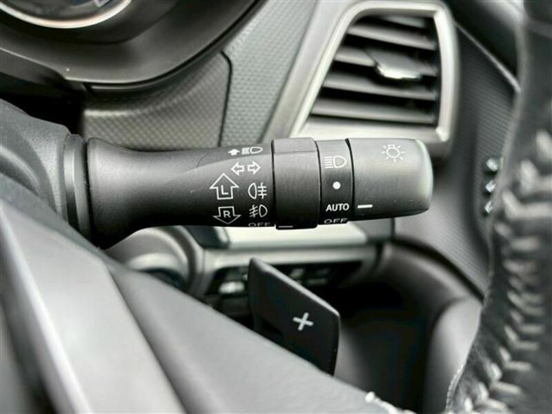 FORESTER-23