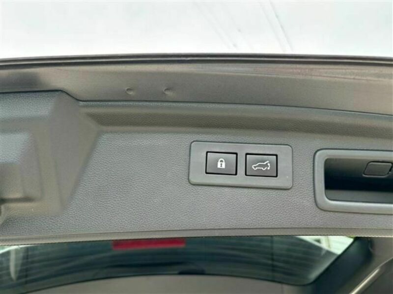 FORESTER-29