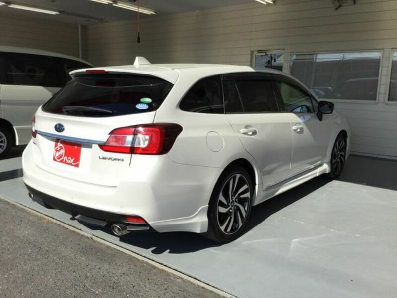 LEVORG
