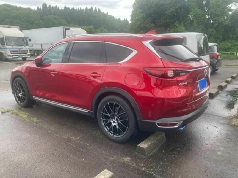 CX-8-1