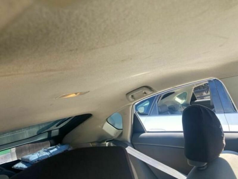 PRIUS-19