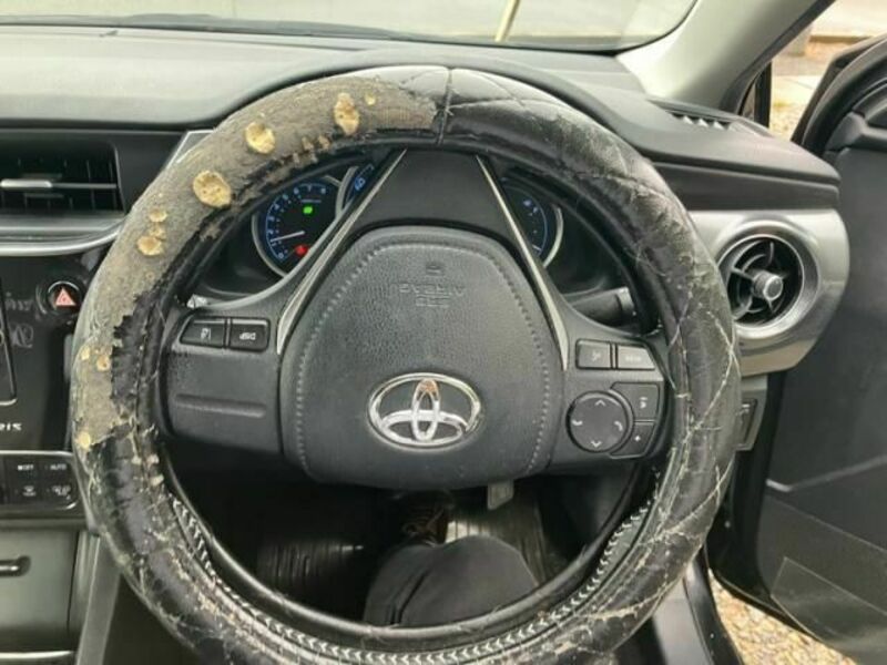 AURIS