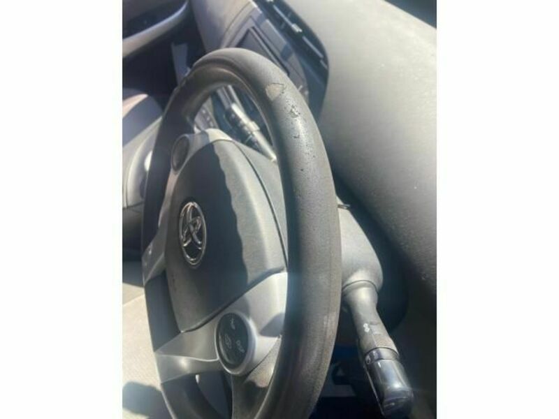 PRIUS-10