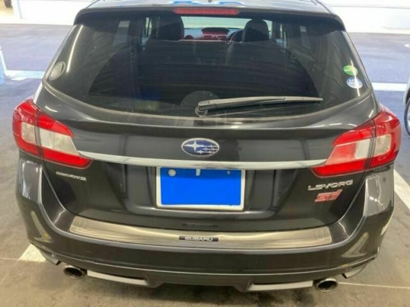 LEVORG