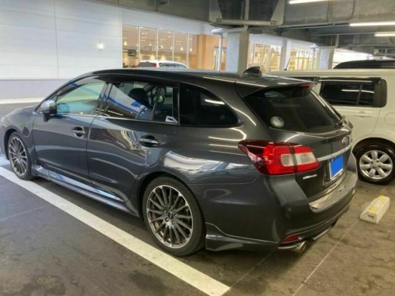 LEVORG