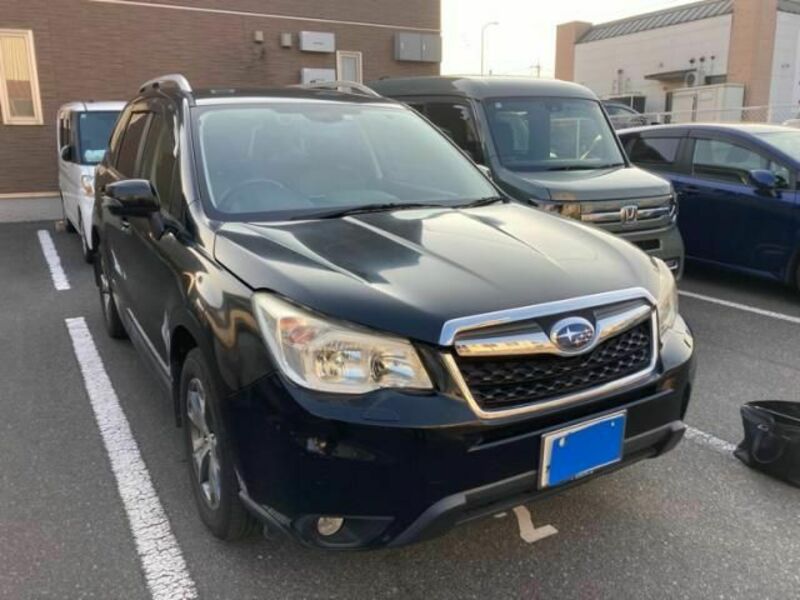 FORESTER