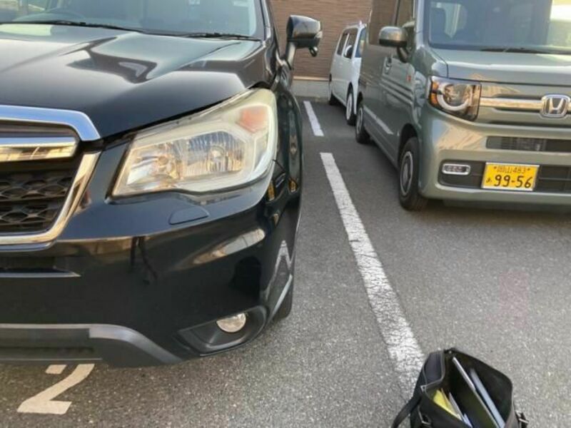 FORESTER-2