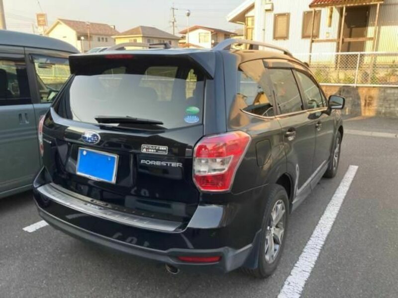 FORESTER-3