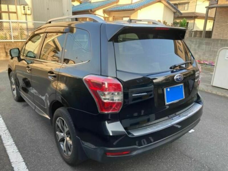 FORESTER-4