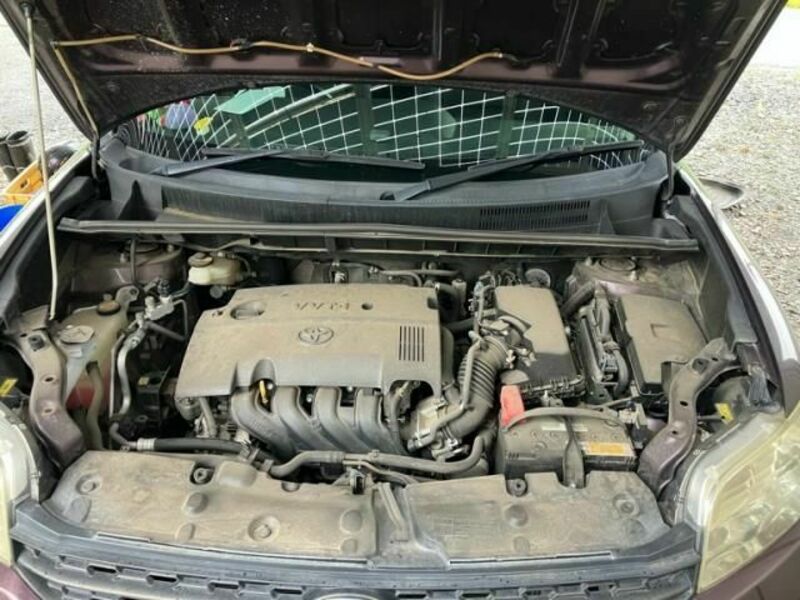 COROLLA RUMION
