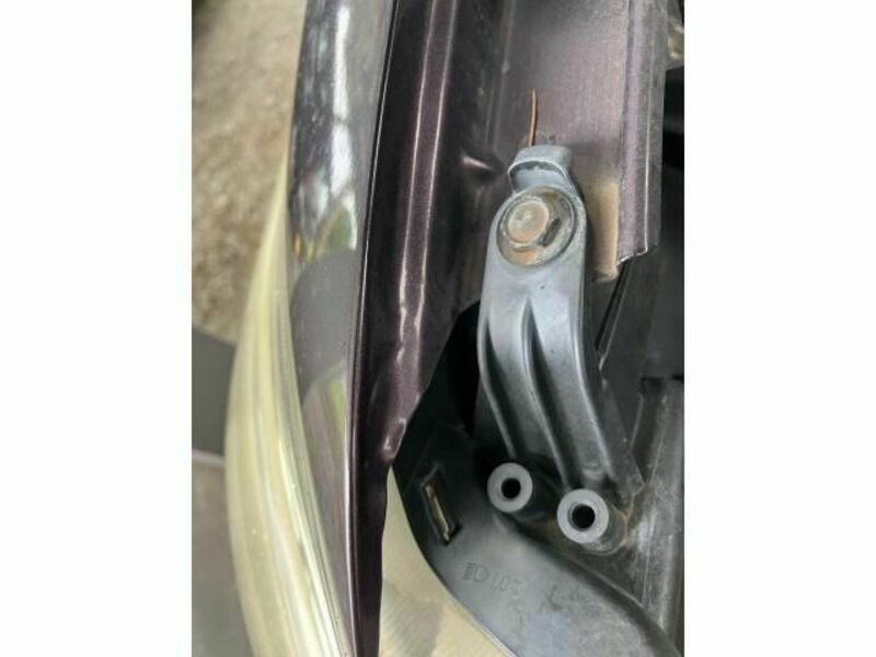 COROLLA RUMION