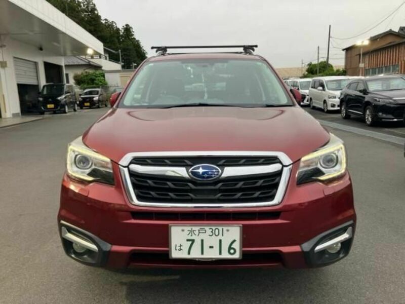 FORESTER-1