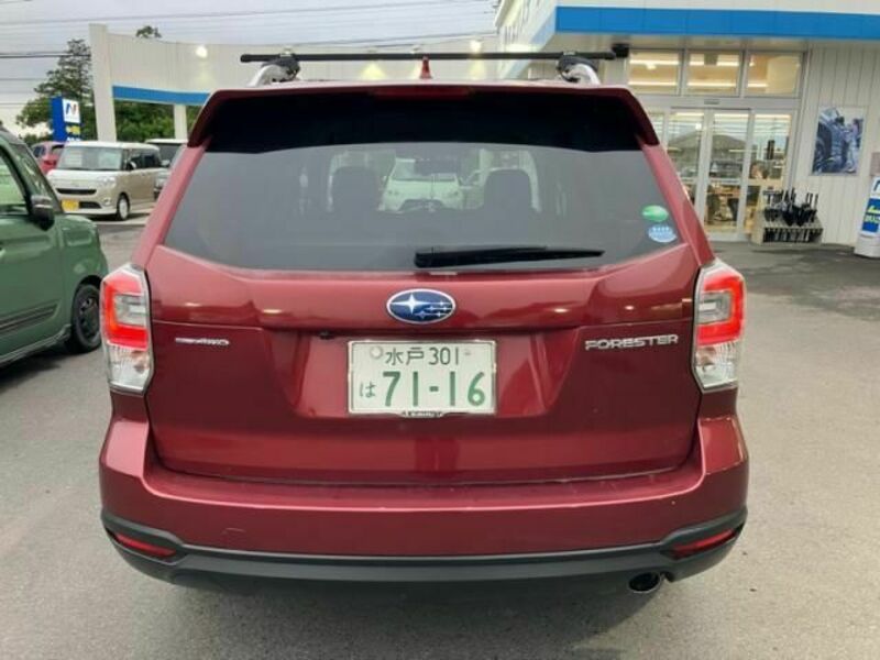 FORESTER-3