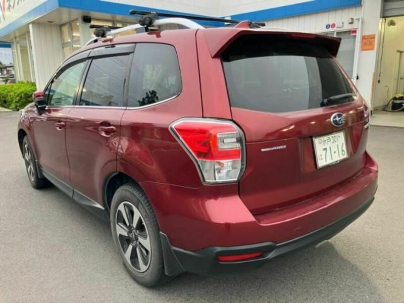 FORESTER-4