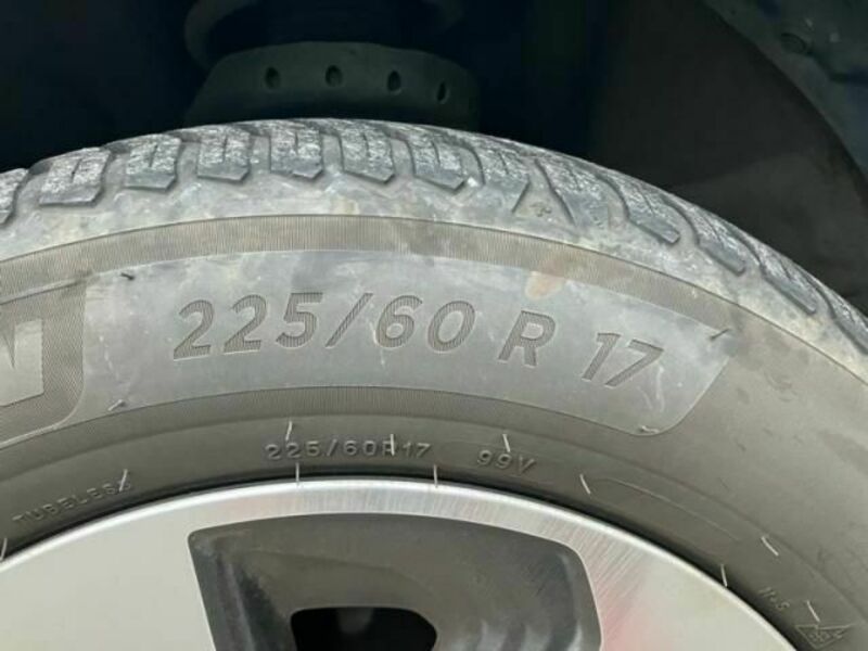 FORESTER-5