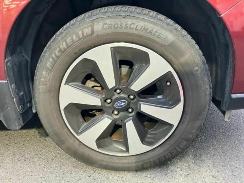 FORESTER-6
