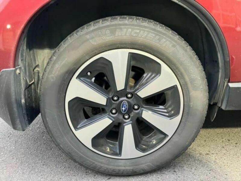 FORESTER-7