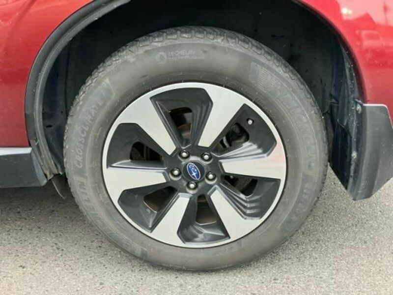 FORESTER-8