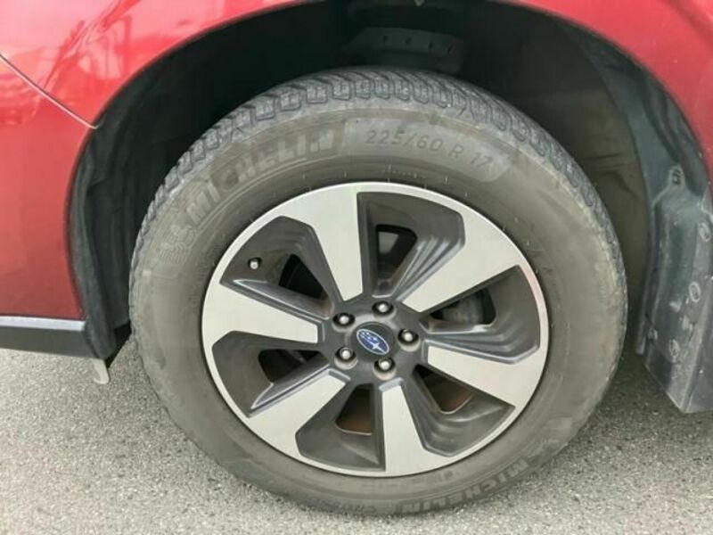 FORESTER-9