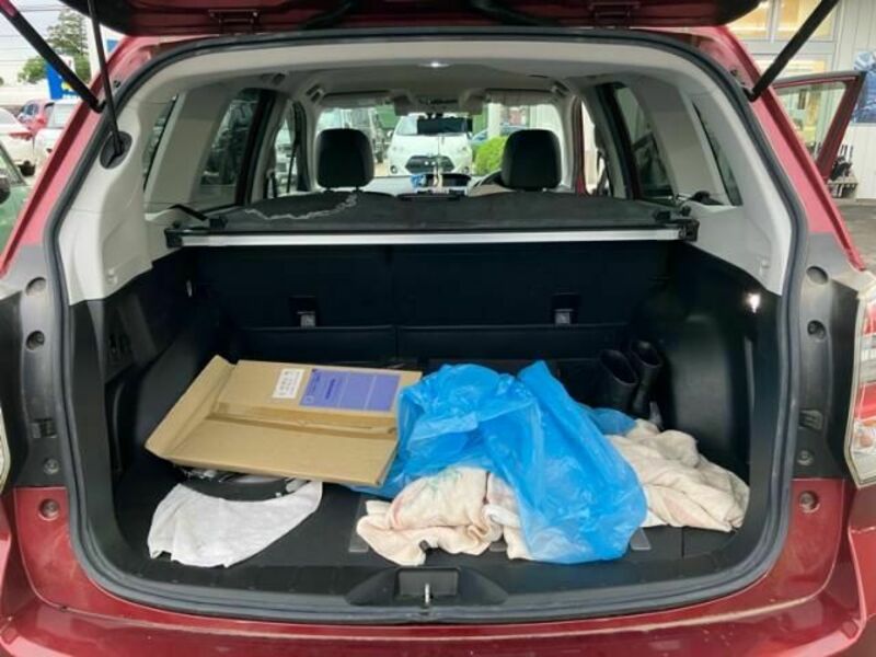FORESTER-18