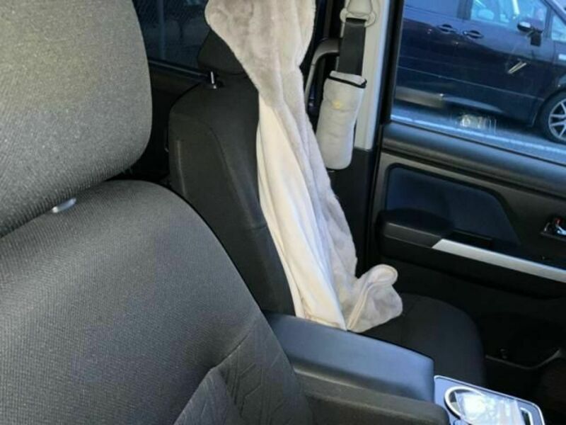 ROOMY