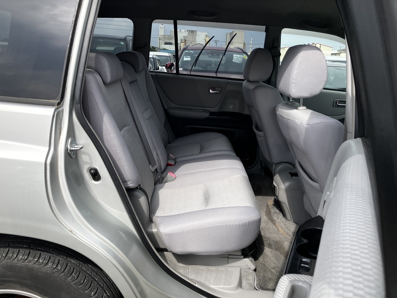 KLUGER L
