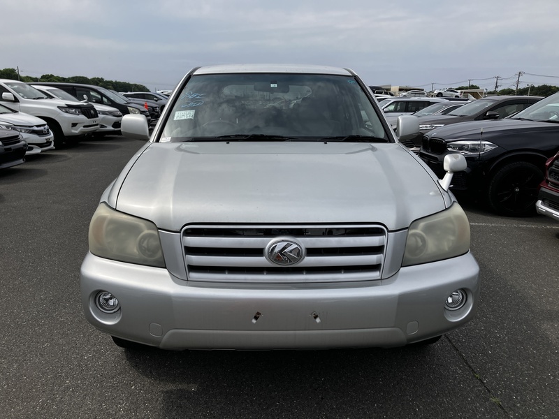 KLUGER L