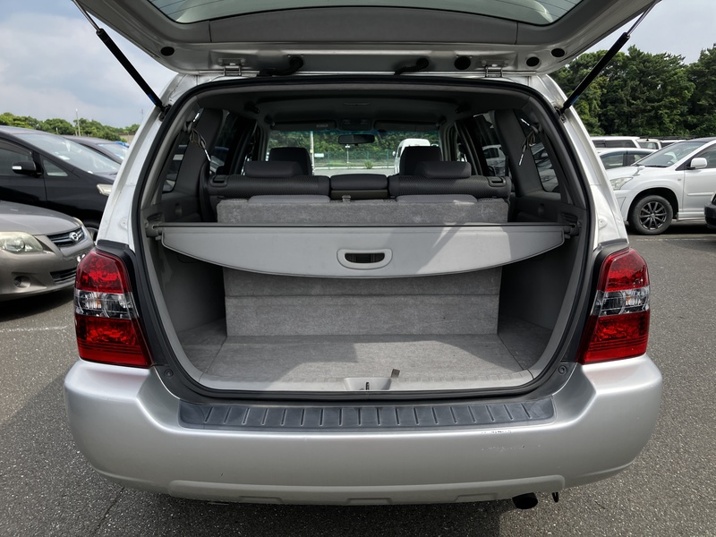 KLUGER L