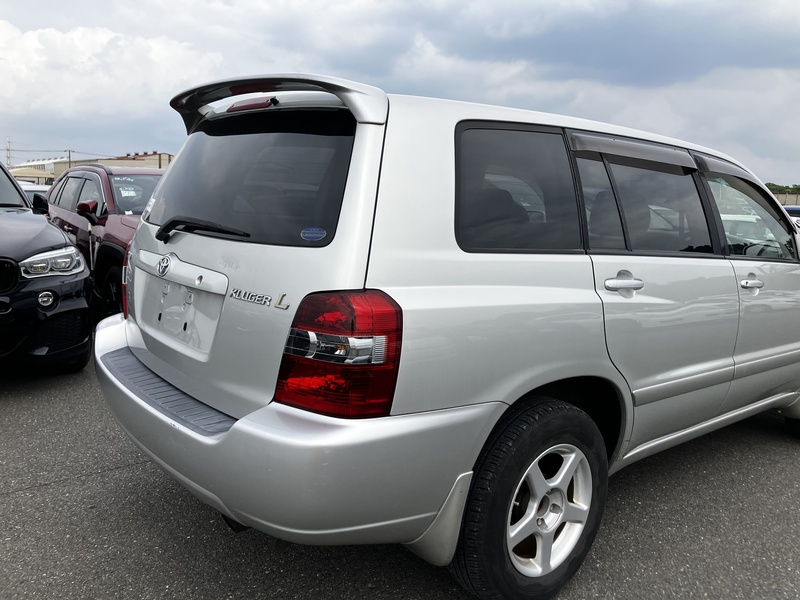 KLUGER L