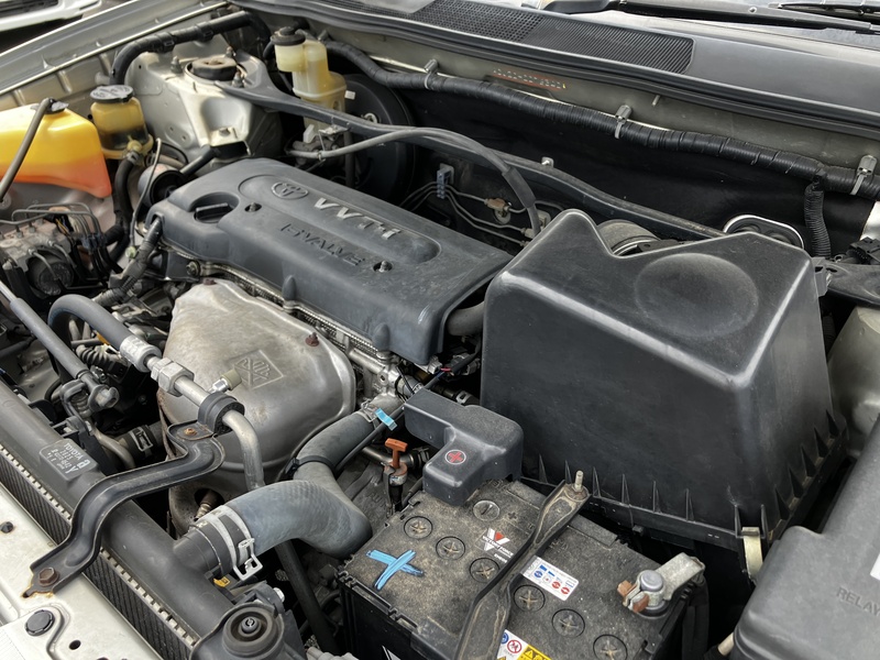 KLUGER L