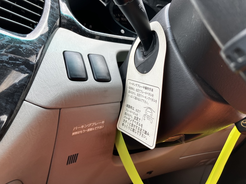 KLUGER L