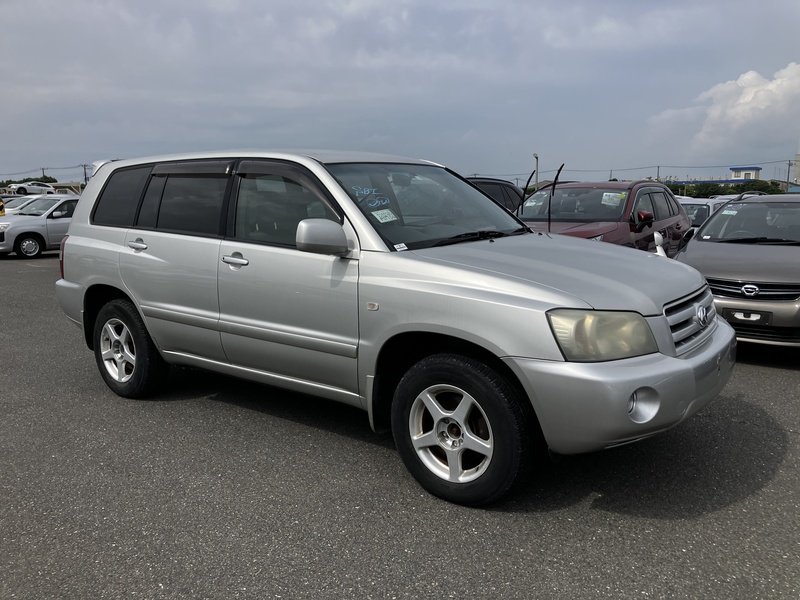 KLUGER L