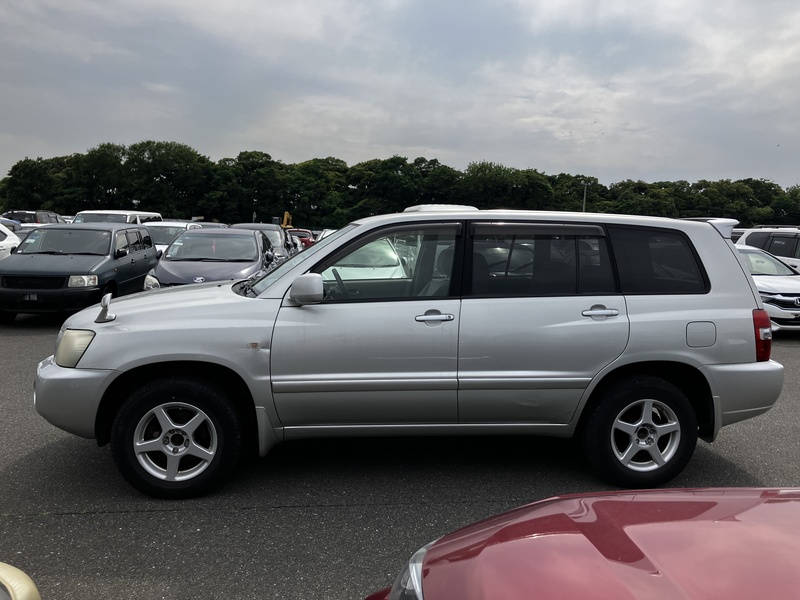 KLUGER L