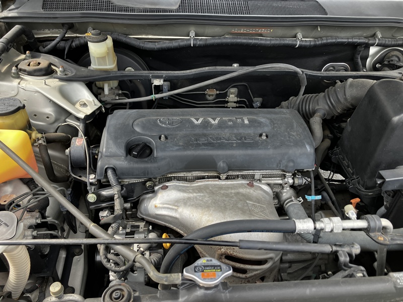 KLUGER L