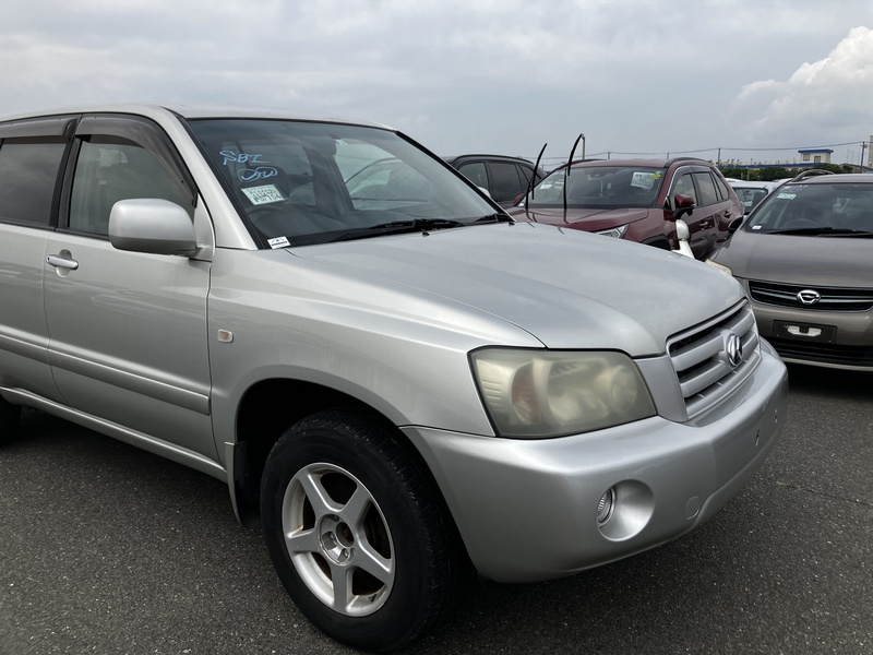 KLUGER L