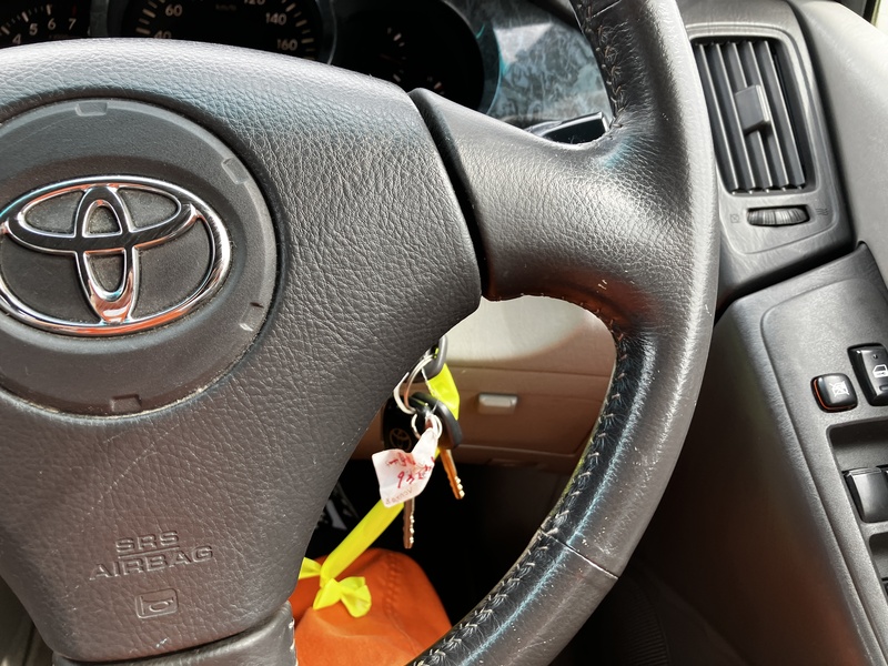 KLUGER L