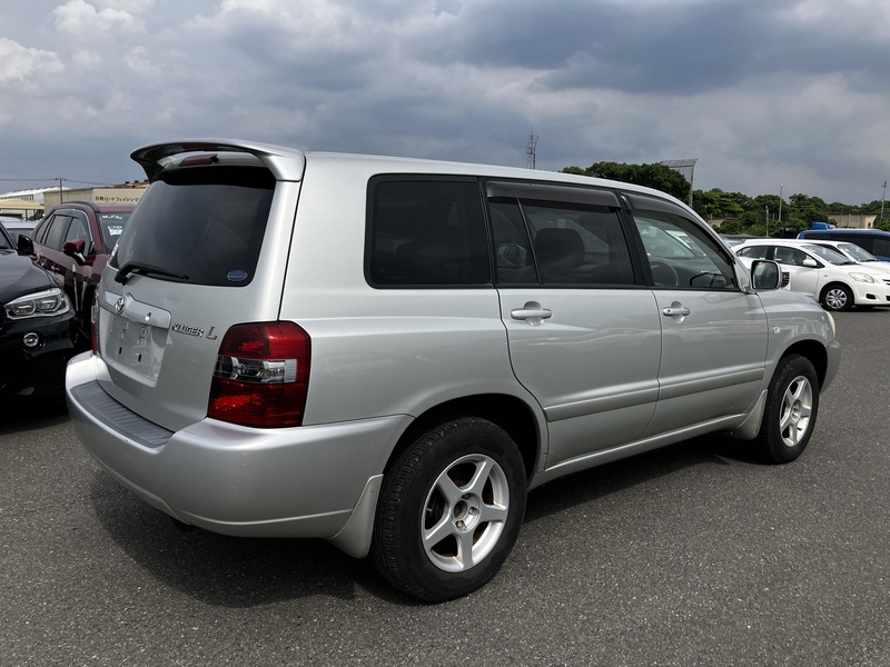 KLUGER L