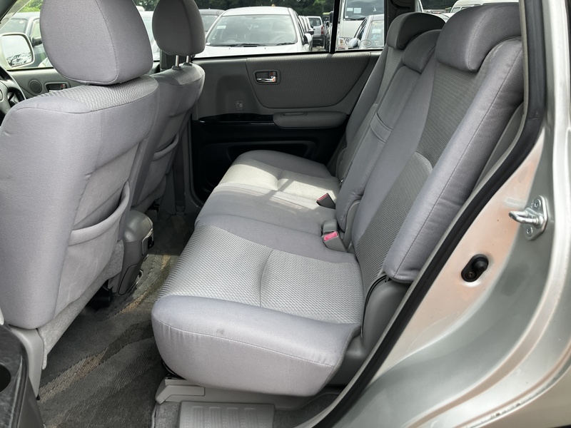 KLUGER L
