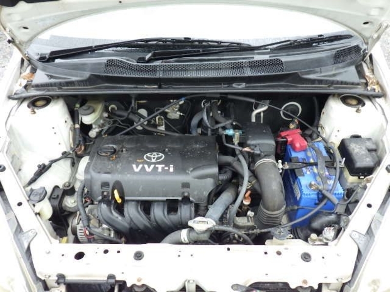 VITZ