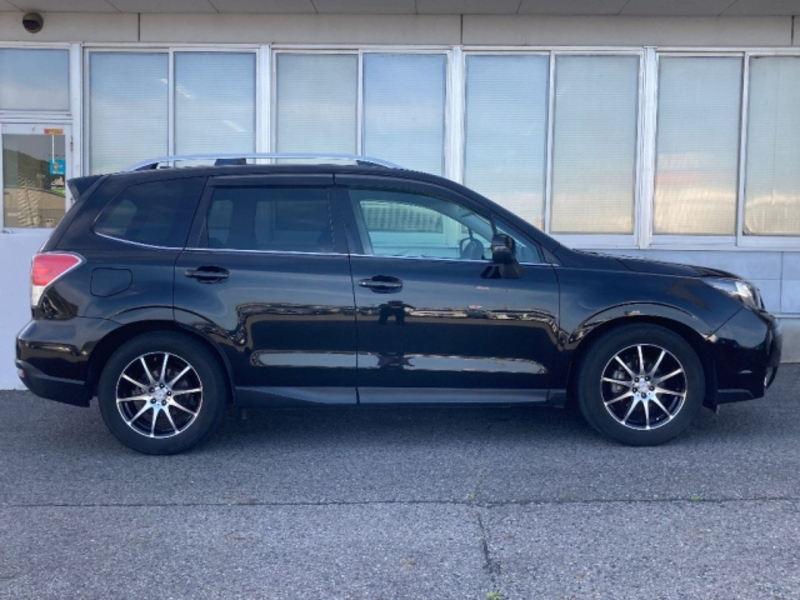 FORESTER