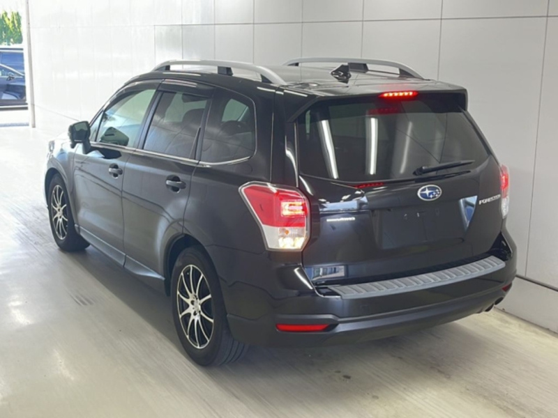 FORESTER