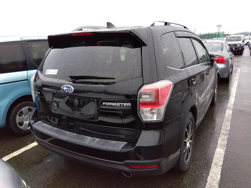 FORESTER