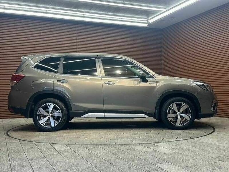 FORESTER