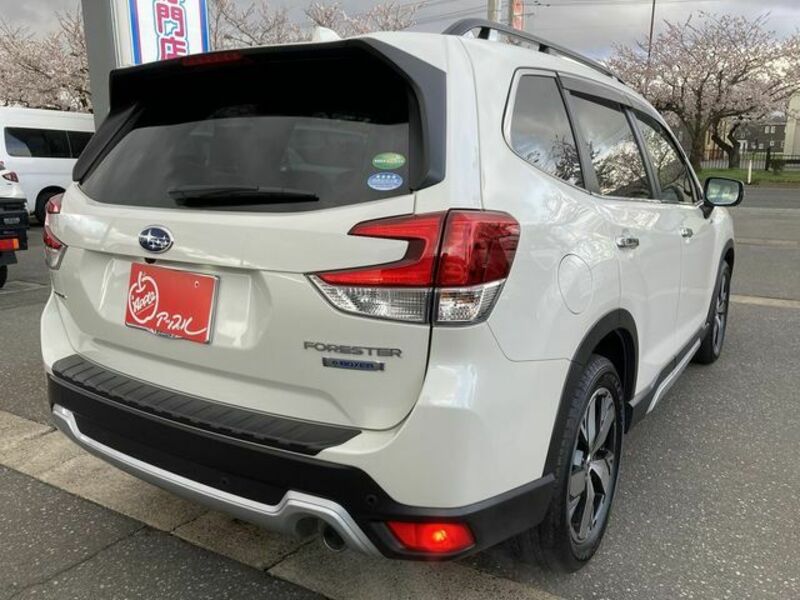 FORESTER