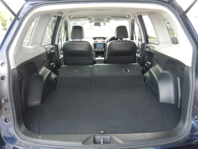 FORESTER-19