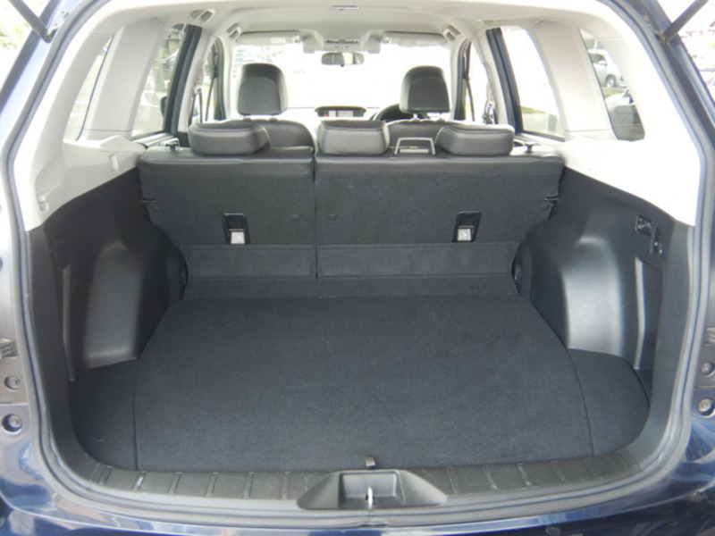 FORESTER-18