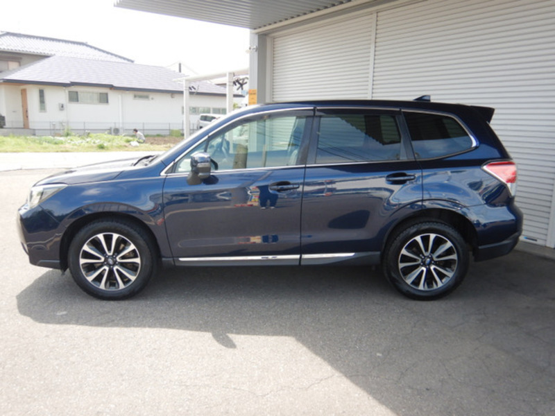 FORESTER-10