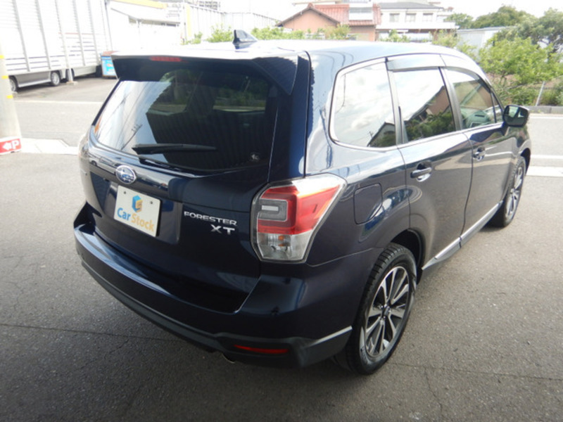 FORESTER-11